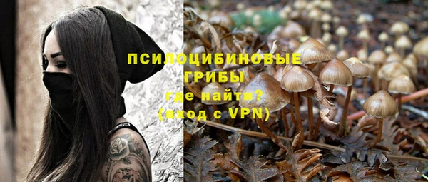 прущая мука Алзамай