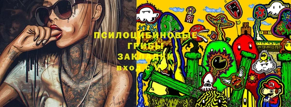 прущая мука Алзамай