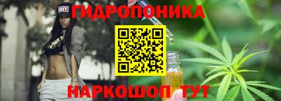 гашик Балахна