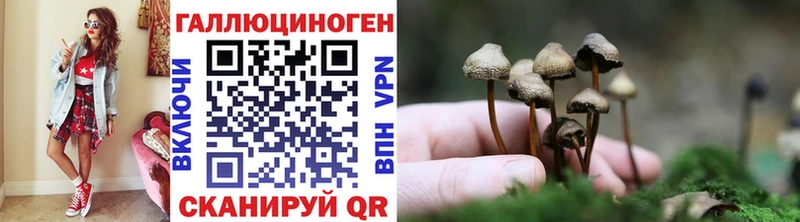 Псилоцибиновые грибы GOLDEN TEACHER  OMG зеркало  Волжский  купить наркотик 