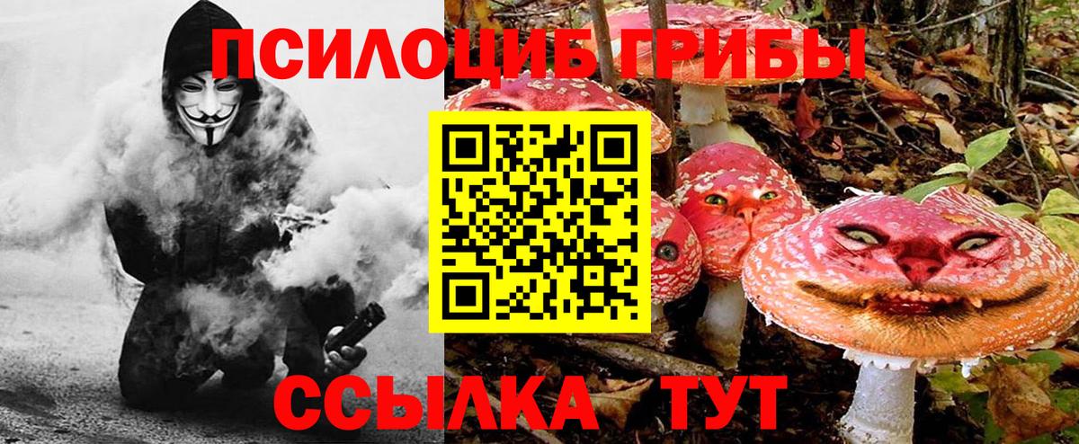 Галлюциногенные грибы GOLDEN TEACHER  Вход с VPN  Волжский 